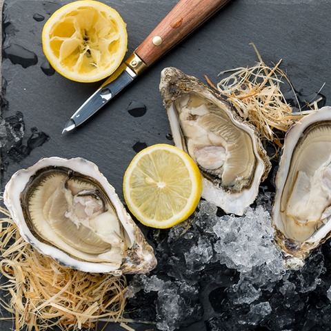 K�chenhandwerk - Austernseminar - Leipzig - 25.03.2026 17:00