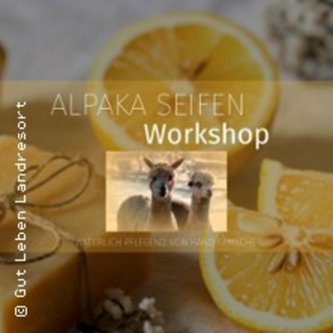 Alpaka-Seifen Workshop - Nat�rlich pflegend. Von Hand gemacht. - BERNAU - 17.05.2026 10:00