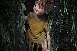 Muggli, dr Waldtroll