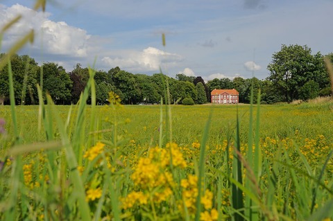 Erlebniswanderung durch die Obere Allerniederung bei Celle - Erlebniswanderung am Tag des Wanderns in Celle - Celle - 13.06.2026 14:00