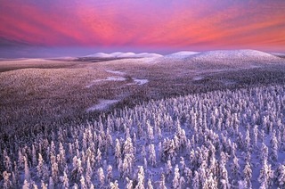 Der leidenscftliche Naturfotograf Bernd R�mmelt berichtet von seinen Exkursionen nach Lappland
