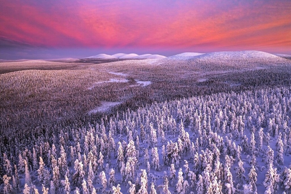 Der leidenscftliche Naturfotograf Bernd R�mmelt berichtet von seinen Exkursionen nach Lappland - Badische Zeitung TICKET