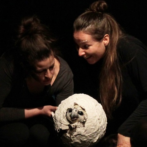 Was schl�pft da aus dem Ei? - Braunschweig - 12.04.2026 11:00