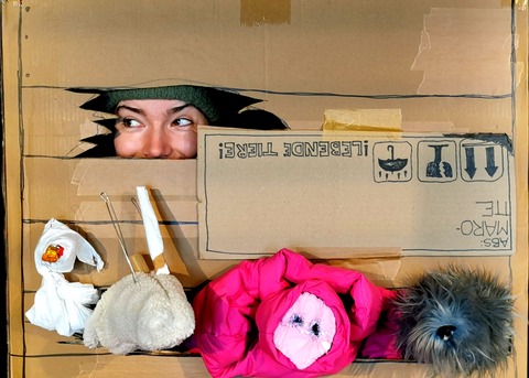 Die Kiste (ab 3 Jahren) - Karlsruhe - 12.04.2026 14:00