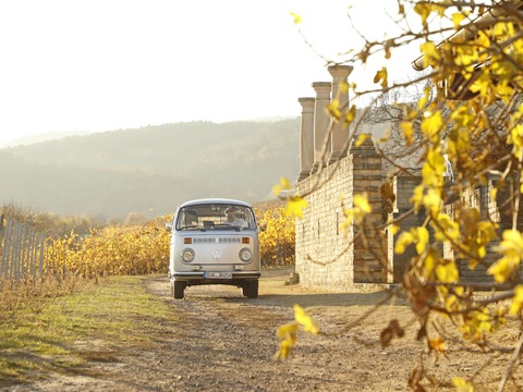 Fahrt in den Mai mit dem Bussl - Bad D�rkheim - 01.05.2026 14:00