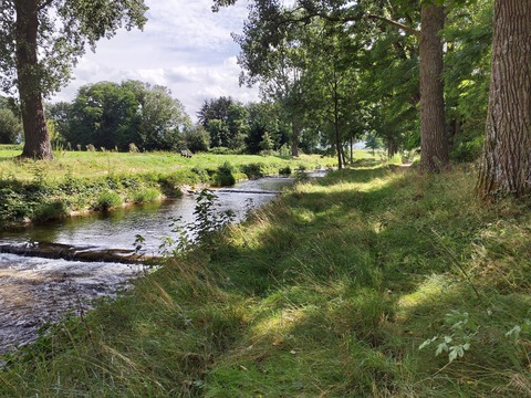 Vom Schwarzwald in den Rhein - Staufen - 26.02.2026 19:00