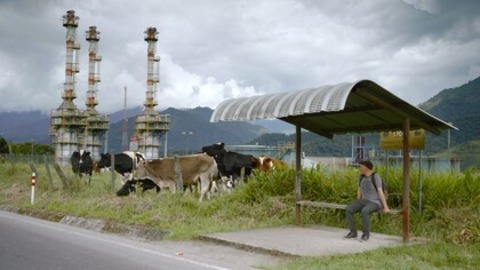 Wir, die Wolfs - Kehl - 19.02.2026 20:00