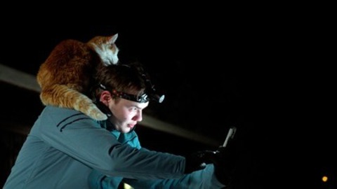 Folktales - Mit Schlittenhunden ins Leben - Freiburg - 19.02.2026 15:30