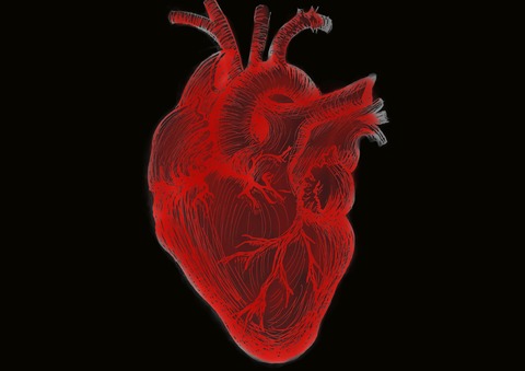 Eine m�gliche Welt PREMIERE - �ber das Fremde in uns - Dresden - 27.03.2026 20:00