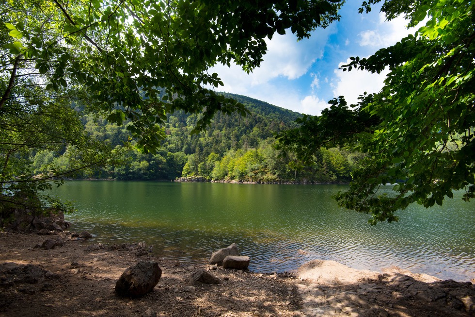 Lac d'Alfeld - Sewen