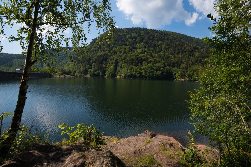 Lac d'Alfeld - Sewen