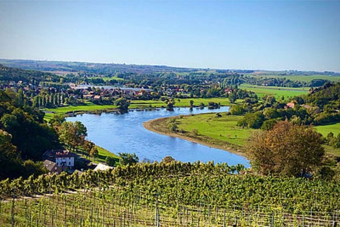 Erlebnistag in den s�chsischen Weinbergen inkl. Schifffahrt, Weinwanderung, Weinprobe & Brotzeit - inkl. Schifffahrt, Weinbergwanderung, Weinprobe und Winzervesper - Dresden - 26.06.2026 09:15