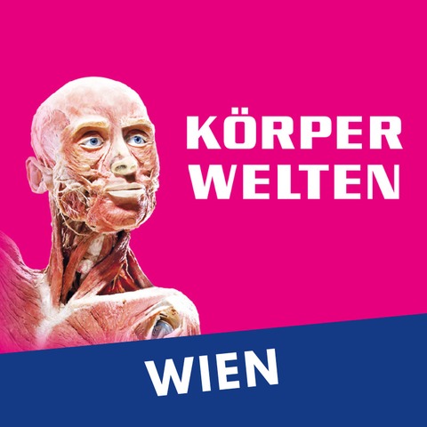 K�RPERWELTEN | Wien | Zeitfensterticket - Wien - 18.03.2026 09:00