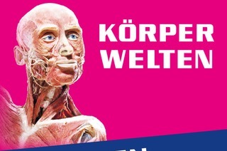 K�RPERWELTEN | Wien | Zeitfensterticket