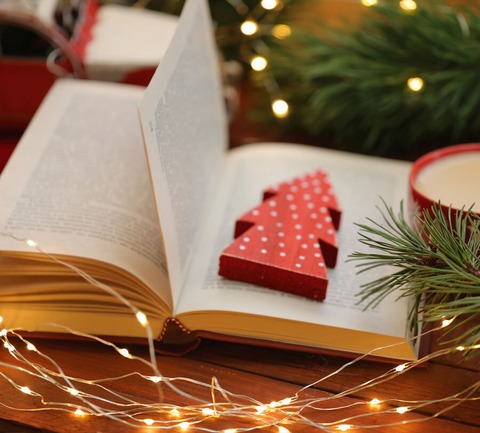 Weihnachtsgeschichten und Bilderbuchkino f�r Kinder - Steinhorst - 11.12.2026 16:00