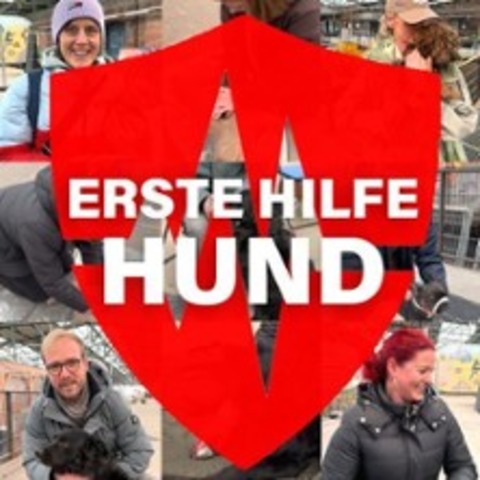 Rudel - Erste Hilfe am Hund - HAMBURG - 21.06.2026 11:00