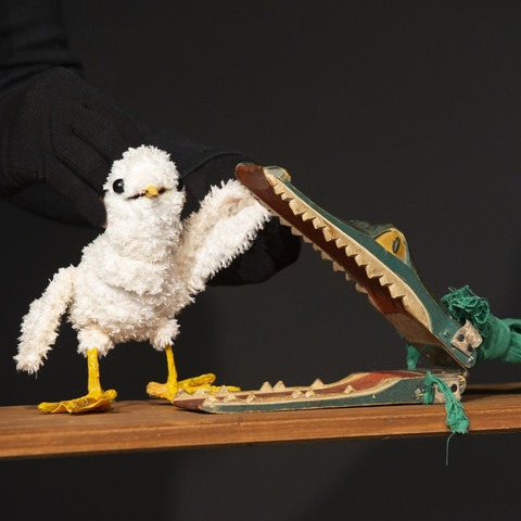 Socke findet ein Ei - Im Botanischen Garten - Braunschweig - 07.08.2026 16:00