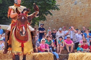 R�merfest Alzey 2026 - Eintrittskarte