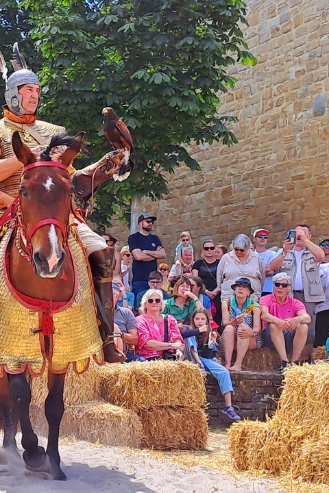 R�merfest Alzey 2026 - Eintrittskarte - Alzey - 06.06.2026 10:00