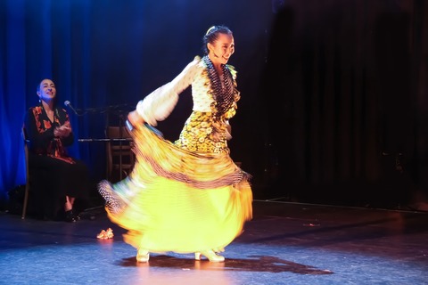 16. Stuttgarter Flamenco Festival 2026 - Stuttgart - 01.08.2026 19:00