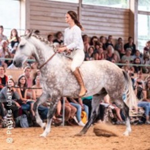Key to Horses Event K�ln - K�LN - 11.07.2026 09:30