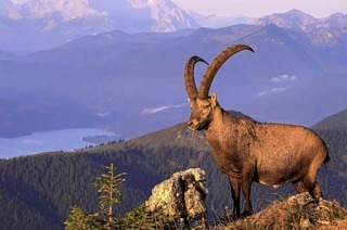 Zwei Mundologia-Vortr�ge gibt es im Freiburger B�rgerhaus am Seepark: Alpenvorland und La R�union