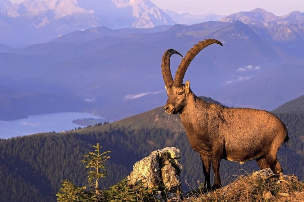 Zwei Mundologia-Vortr�ge gibt es im Freiburger B�rgerhaus am Seepark: Alpenvorland und La R�union - Badische Zeitung TICKET