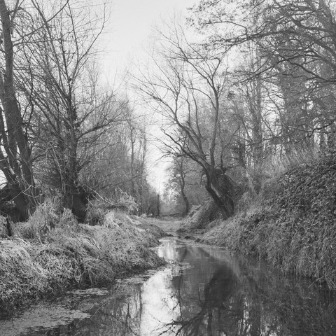 Steve Luxembourg - M�llheim im Markgr�flerland - 04.03.2026 14:00