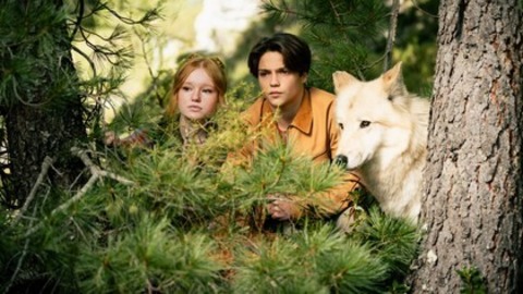 Woodwalkers 2 - Frick - 28.02.2026 13:00