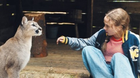 Woodwalkers 2 - Frick - 28.02.2026 13:00