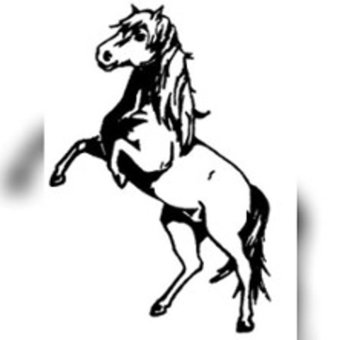 45. Ponyshow Wenigenauma - AUMA-WEIDATAL - 26.07.2026 13:30