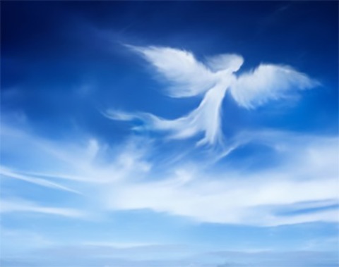 Bl�serphilharmonie - Voices of Angels - W�rzburg - 24.04.2026 19:30