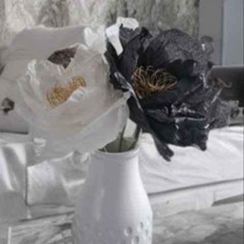 Fr�hlings-Workshop - NEUM�NSTER - 11.04.2026 14:00