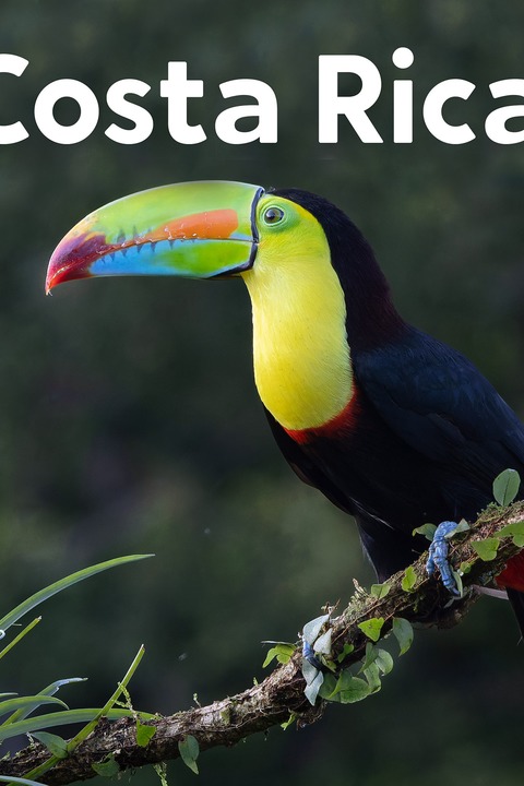Costa Rica - Naturparadies zwischen Karibik und Pazifik - Erlangen - 12.11.2026 20:00