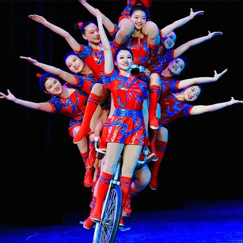 19. Elmar Kretz Weihnachtscircus Ravensburg 2026/27 - Ravensburg - 07.01.2027 15:00