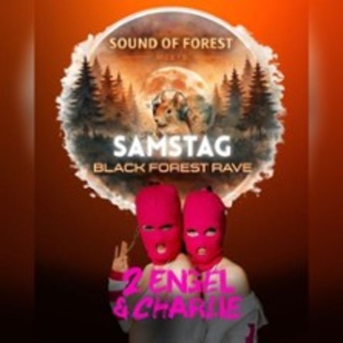 Sound of Forest x Black Forest Rave - Wut�schingen - 27.06.2026 20:00