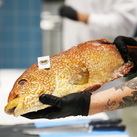 K�chenhandwerk - Fischfiletierkurs mit Kochbuchautor Gabriel Arendt - M�nchen - 29.09.2026 18:00