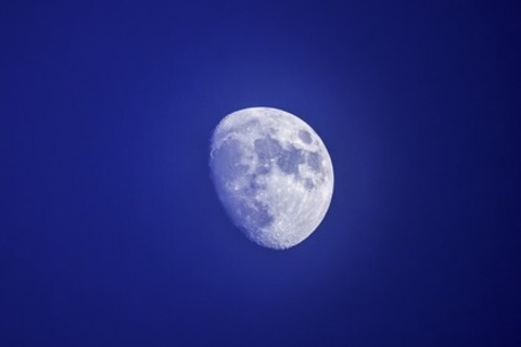 ENHYPEN [Walk the Line Summer Edition] in Cinemas - Freiburg - 05.03.2026 19:00