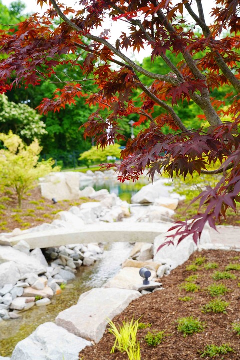 F�hrung durch den Japanischen Garten in Bad Krozingen - Bad Krozingen - 07.12.2026 16:00