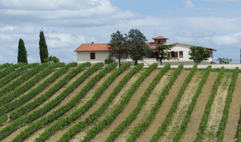 Impressionen aus der Toskana. - Kehl - 05.03.2026 19:00