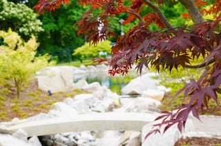 F�hrung durch den Japanischen Garten in Bad Krozingen