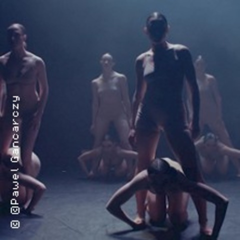 DART Dance Company - Shade 22 - BERLIN - 14.03.2026 19:00