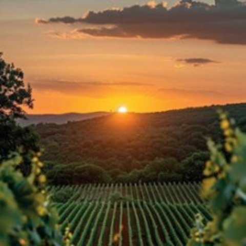 Georgische Weinreise - HAMBURG - 17.07.2026 19:00