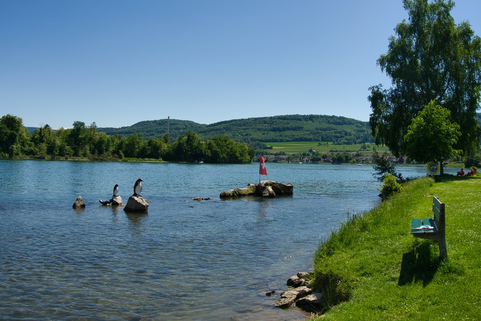 Rheinstrand Wallbach - Wallbach