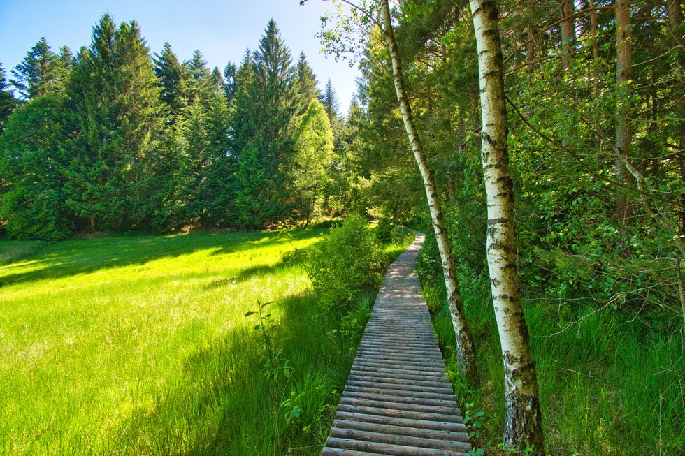 Lauterbacher Hochtalrunde - Lauterbach