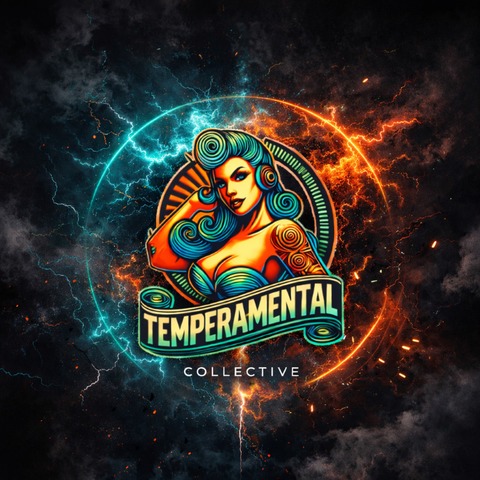 High Voltage - pres. Temparamental - Erlangen - 10.04.2026 22:00