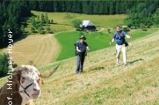 Schwarzwald - Direttissima wandern