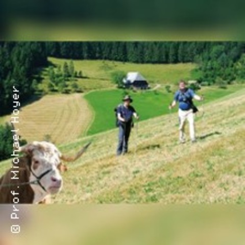 Schwarzwald - Direttissima wandern - V�hrenbach - 23.10.2026 19:30