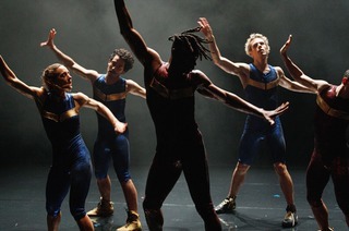 Paula Rosolen/Haptic Hide - 16BIT