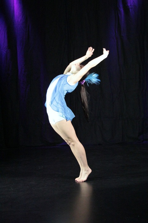 Die blaue Blume - Klexs Theater mit Augsburg M�nchen Schauspiel - Augsburg - 24.04.2026 20:00